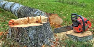 Best Lot and Land Clearing  in Oakhurst, OK