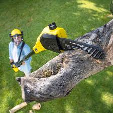 Best Tree Trimming and Pruning  in Oakhurst, OK