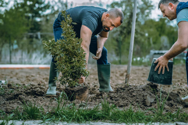 Best Aeration Services  in Oakhurst, OK