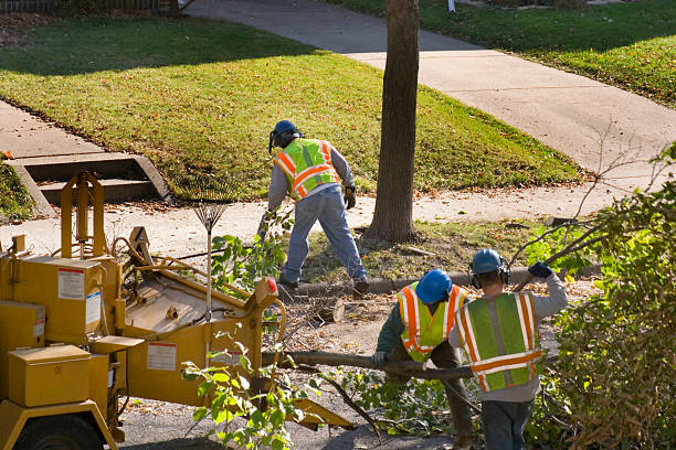 Best Leaf Removal  in Oakhurst, OK